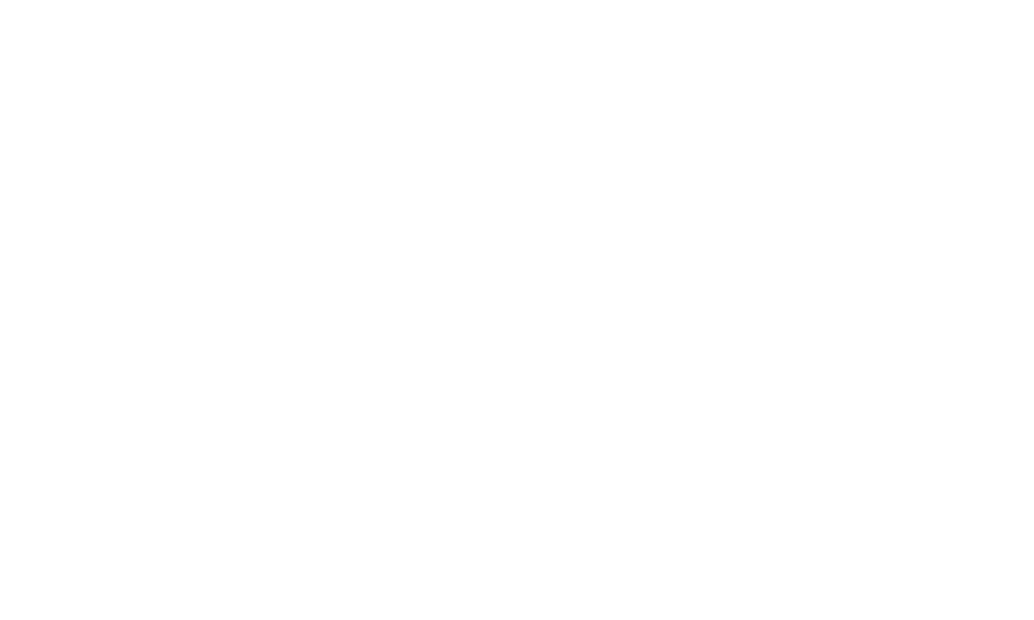 NST Consultation